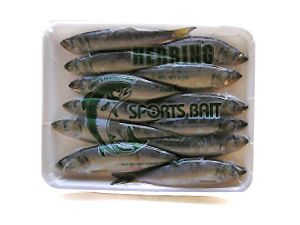 Grays Harbor herring bait