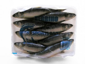 Grays Harbor herring bait