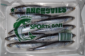 Grays Harbor Anchovies 5 ½ inches