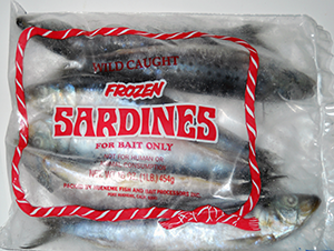 Frozen Sardines